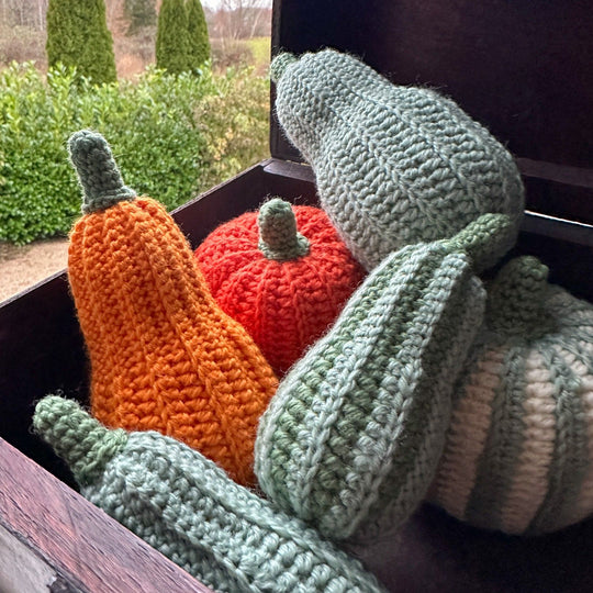 Zucche decorative - Lunghe