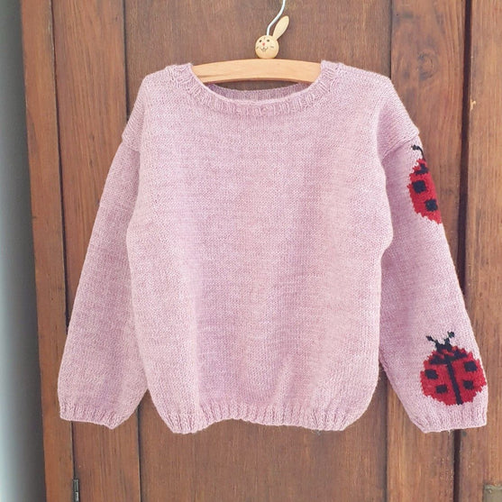 

Ladybug - Maglione per bambine
1