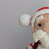 

Santa Tenero
5