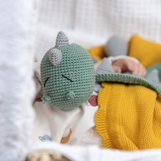 

Donnie Il Dinosauro
4