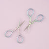 

Forbici - Ornament - Sfumatura - Hobbii
2