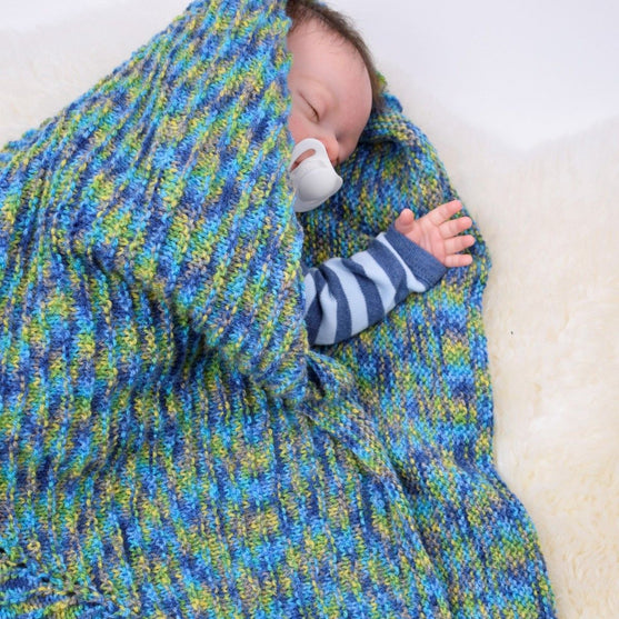 

Copertina Baby - Asters
1