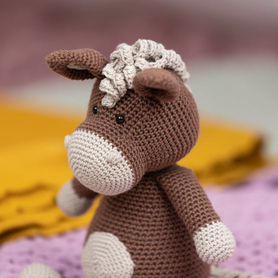 

L’asinella Hilda
2