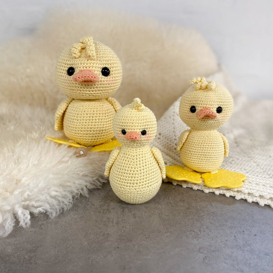 

Papera Alfred Misirizzi
4