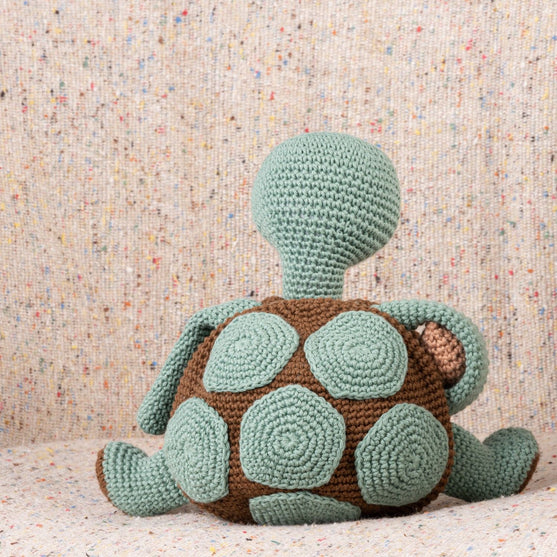 

Theo la Tarataruga
3