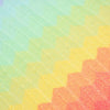 

Copertina - Nellike
4